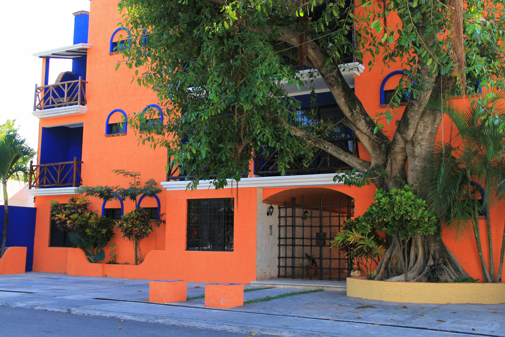 Vida Playa
