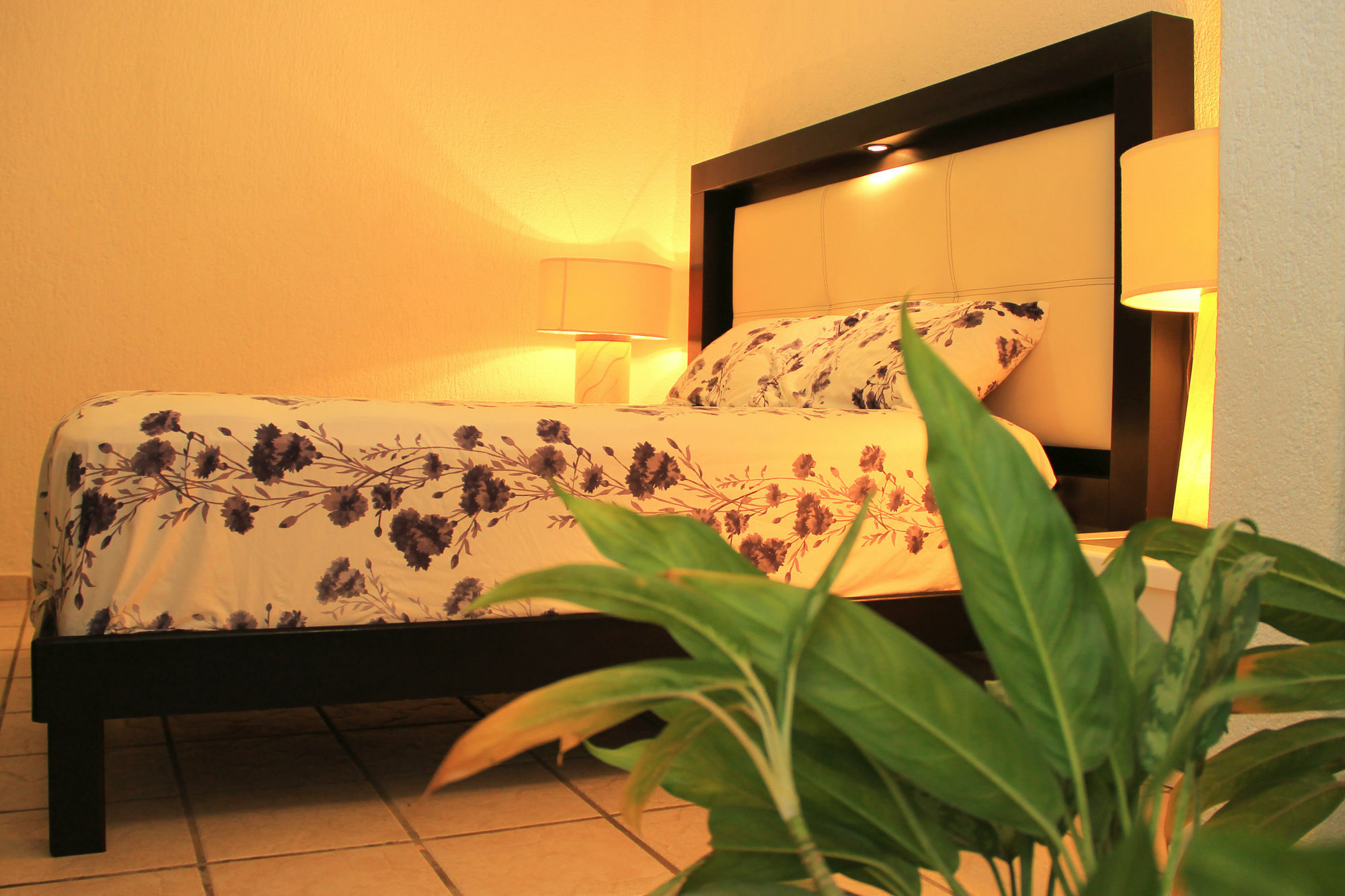 Vida Playa Apartahotel 3*